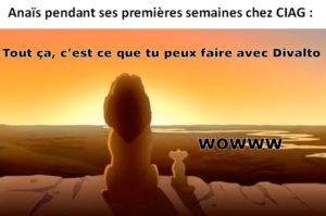 image humour divalto